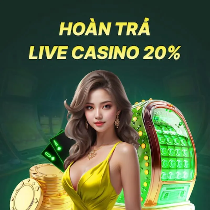 Ưu đãi hoàn trả Vivu 88 lên đến 20%